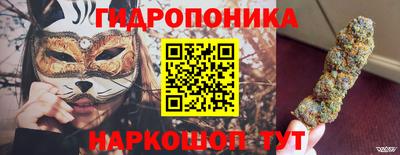 прущие крисы Славгород