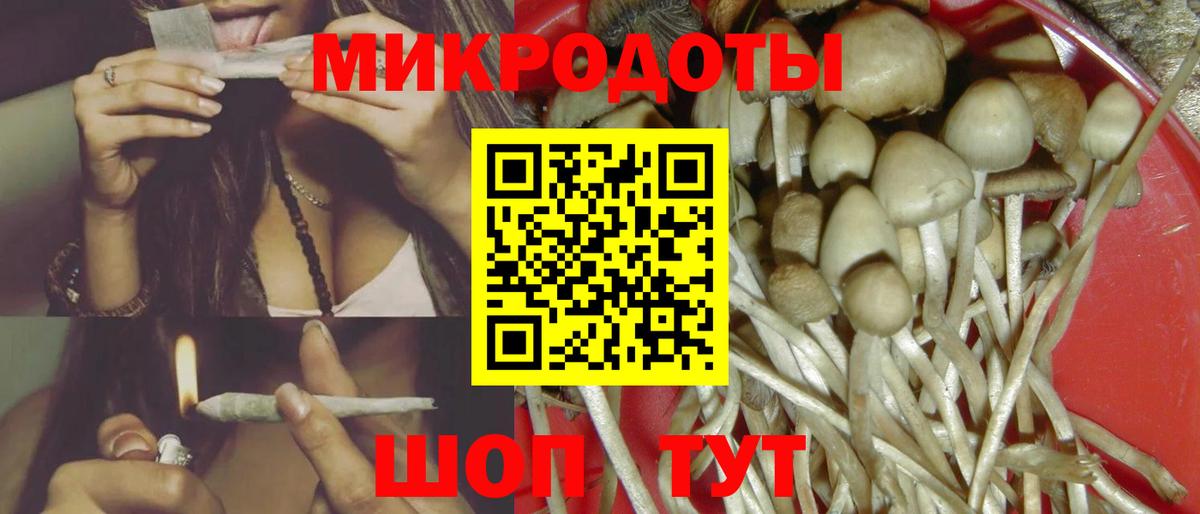 Псилоцибиновые грибы Cubensis  Псилоцибиновые грибы GOLDEN TEACHER  где найти   Омск  Вход с VPN 